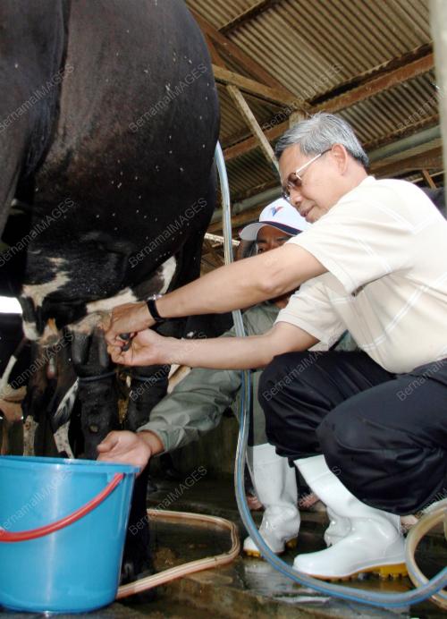 MUSTAPA MOHAMED