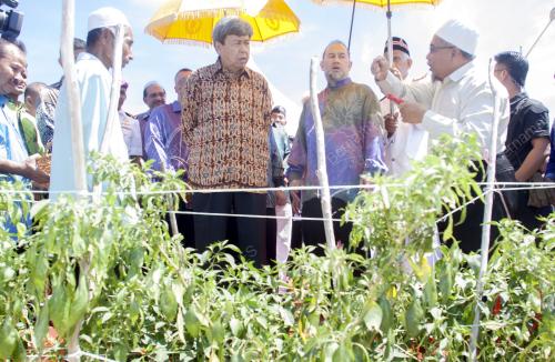KB03_03052016_SULTAN_RUMAH