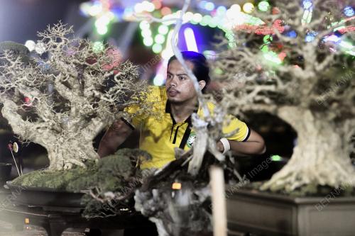 PESTA ORKID, FLORA DAN HERBA