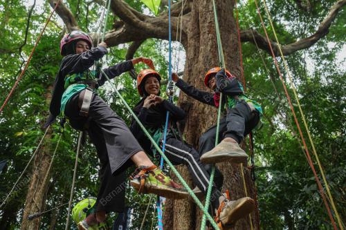 HOBI PANJAT POKOK