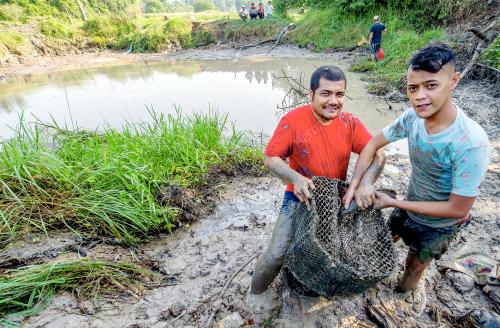 KB03_05042016_IKAN