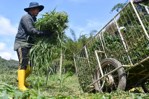 TINJAUAN CUACA SEMASA