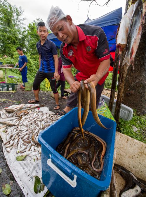 KB03_06122018_IKAN_DARAT