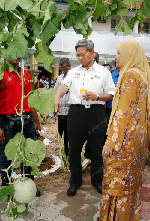 MUSTAPA MOHAMED