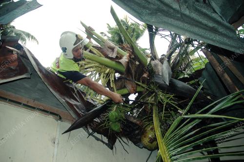 KB03_09022024_RIBUT