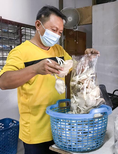 KB03_09082021_CENDAWAN_TIRAM