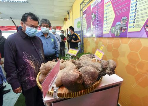 DATUK CHE ABDULLAH MAT NAWI