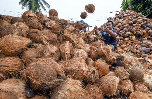 KB03_11062018_KELAPA
