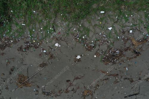 SAMPAH KIRIMAN MONSUN TIMUR LAUT