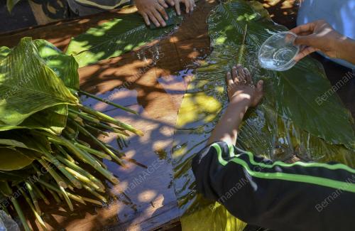 LEMANG DAUN LEREK