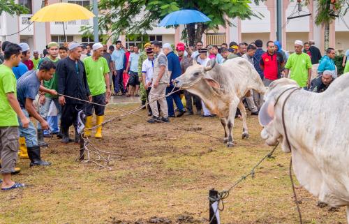 KB03_12082019_QURBAN_BN201908087561