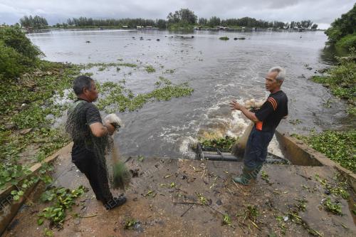 AKTIVITI MENJALA IKAN