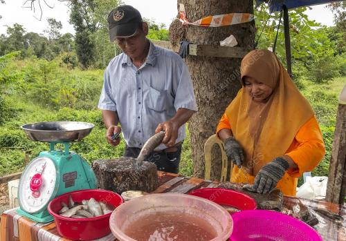 IKAN DARAT