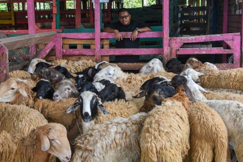 SHEEPY FARM & FROZEN DISTRIBUTION