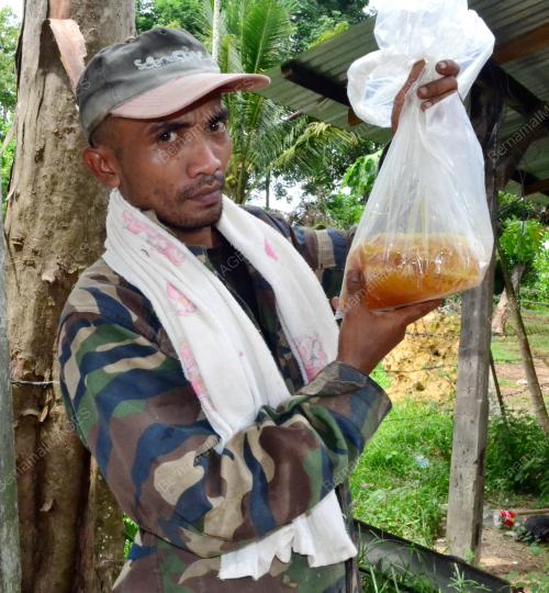 KB03_14072016_MADU_LEBAH