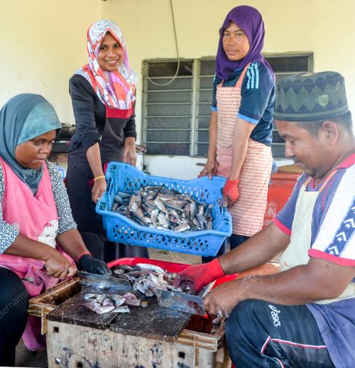 SHAFIDAZURA NASIR