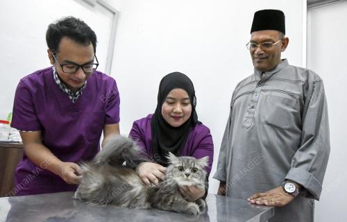 KB03_15072018_KUCING_BN201807143128