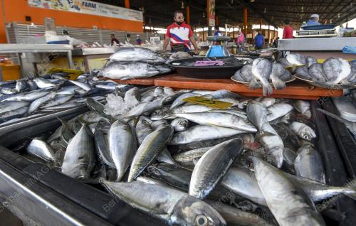 SKIM HARGA MAKSIMUM PKP