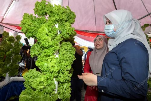 DATUK SERI RINA MOHD HARUN