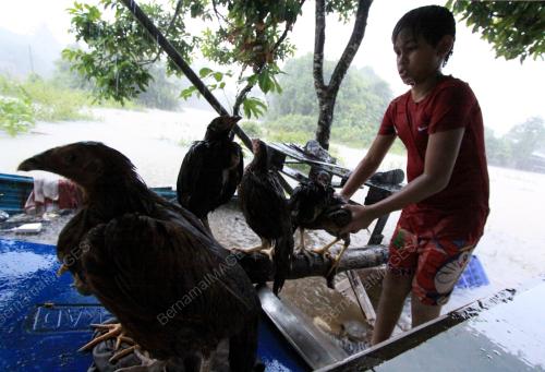 KB03_17122014_BANJIR