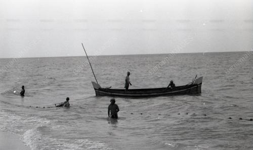 NELAYAN