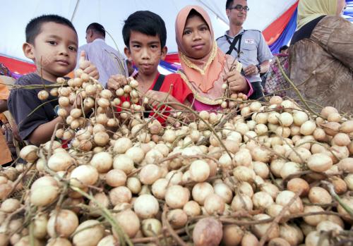 KB03_19092015_MAKAN_BUAH