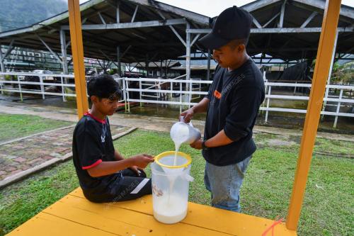 KB03_20012026_SUSU_LEMBU