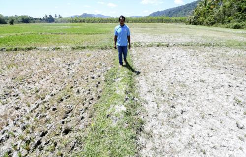 KB03_20032019_SAWAH