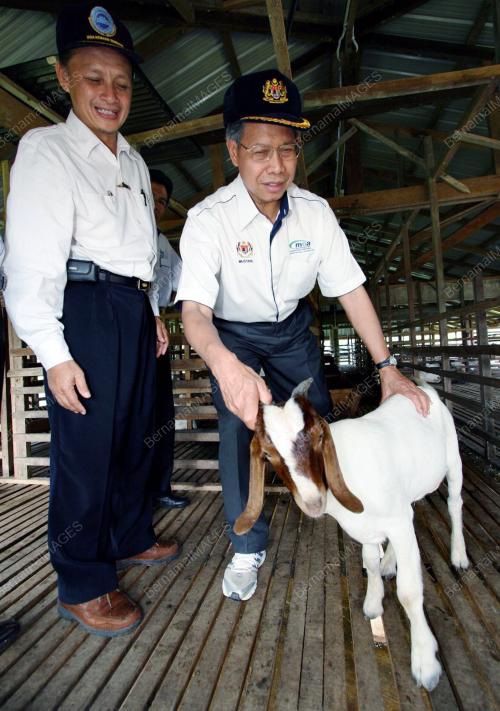 MUSTAPA MOHAMED