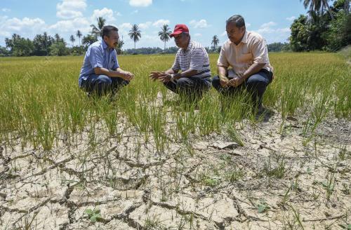 KB03_22032019_SAWAH