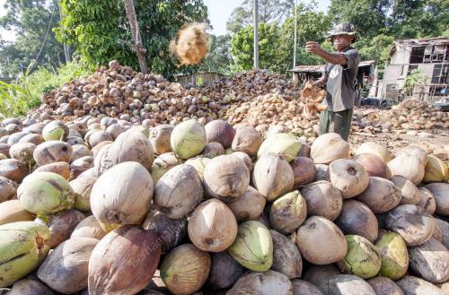 KB03_22092015_BEKALAN_KELAPA