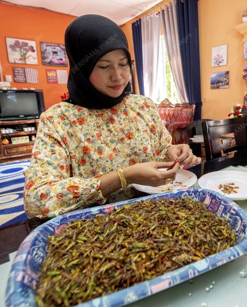 BELALANG GORENG