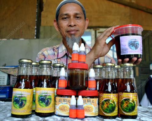 KB03_23022012_MADU_KELULUT