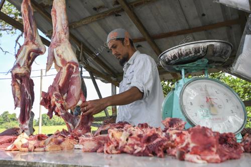 KB03_23052018_DAGING