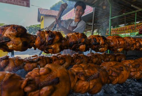 PENIAGA AYAM GOLEK