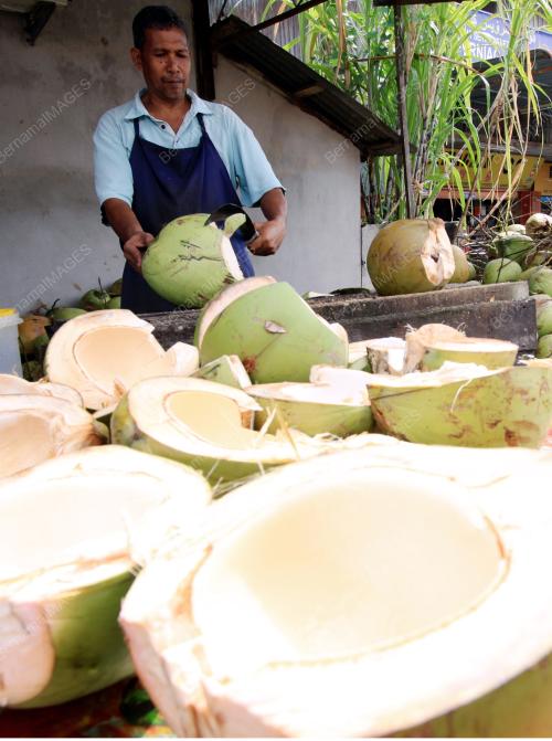 KB03_24062015_KELAPA_MUDA