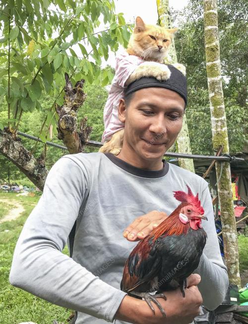 MUHAMMAD AMIR MUSTAPA