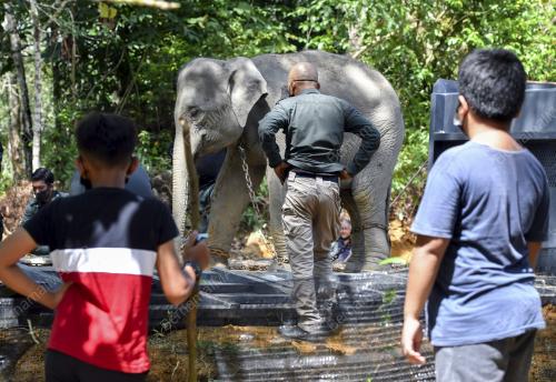 OPERASI PINDAH GAJAH