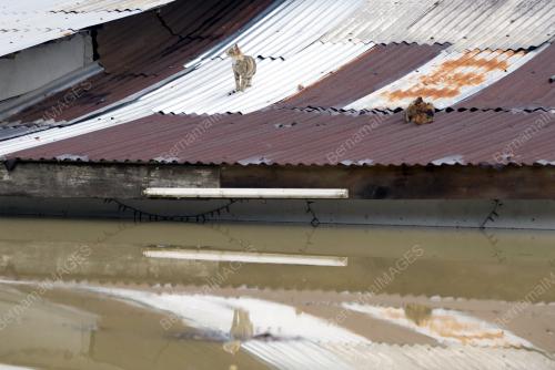KB03_25122014_BANJIR