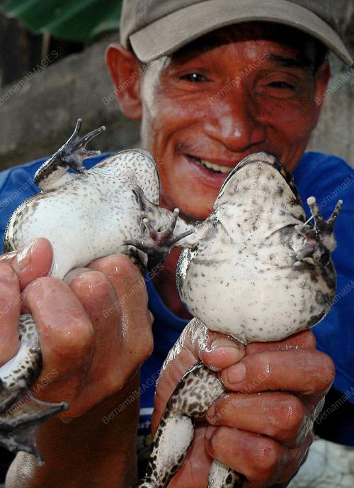 KATAK