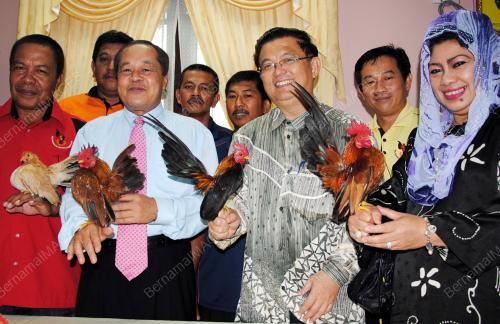 AYAM KATEK