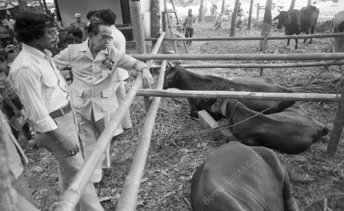 KB03_28012015_PERMAKANAN_3