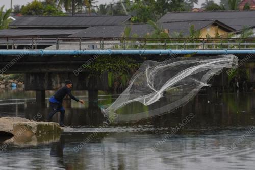 MENJALA IKAN