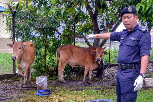 DSP MOHD AZMIR DAMIRI