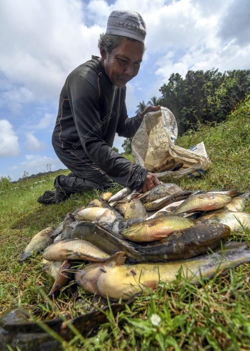 KB03_28112019_IKAN_DARAT