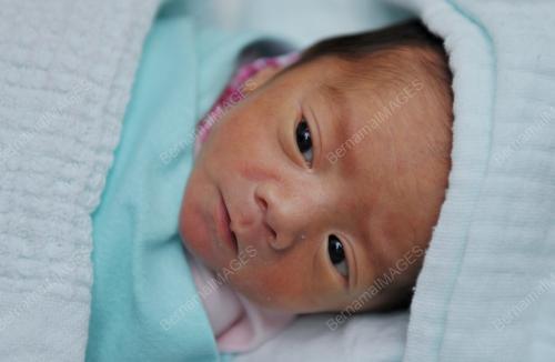 KB03_29012014_BAYI