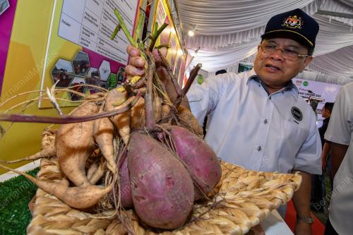DATUK SERI AHMAD HAMZAH