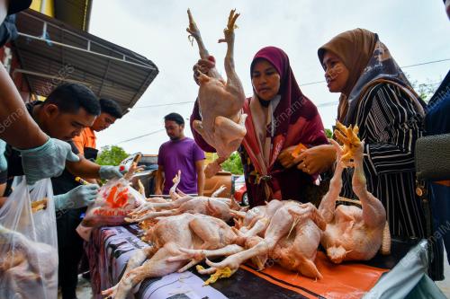 JUALAN MURAH KELUARGA MALAYSIA