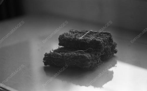 KB04_01072015_GANJA