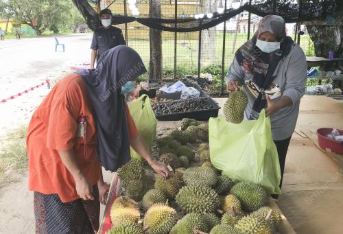 TENGKU NOR AMIRA TENGKU RAZAMAN